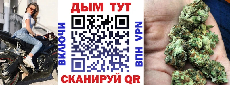 Наркота Камбарка Псилоцибиновые грибы  КЕТАМИН  Канабис  МЕФ 