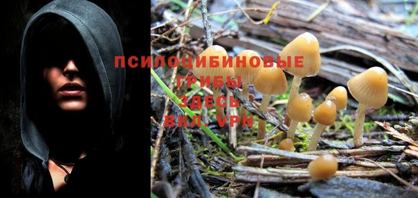 эйфоретик Волосово